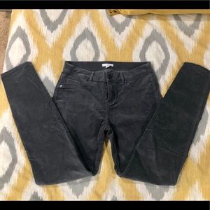 New York & Co grey stretchy chords